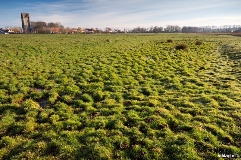 Microreliëf in de weilanden rond Oostkerke