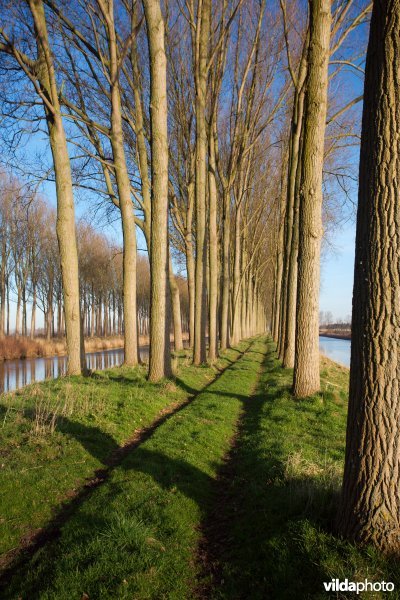 Het Schipdonkkanaal en het Leopoldkanaal