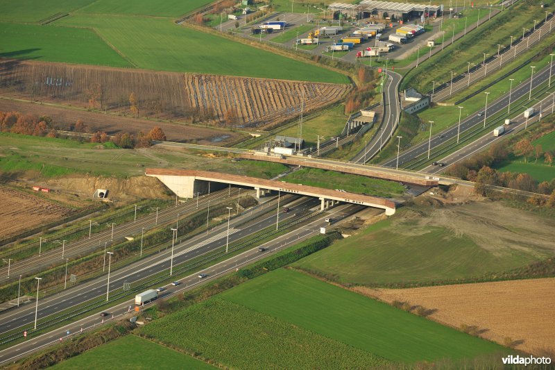 Ecoduct De Munt op de E19 snelweg