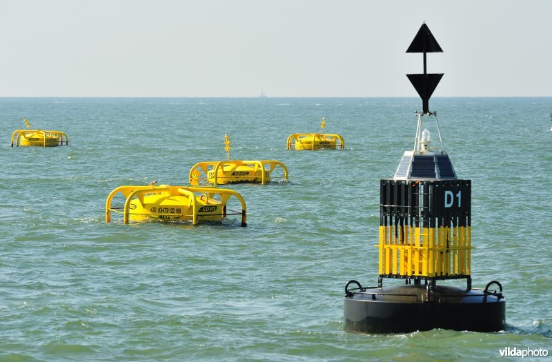 Mosselkweekboeien in de Noordzee