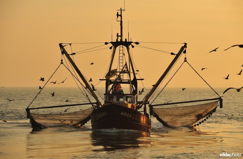 Korrende vissersboot haalt boomkorren boven