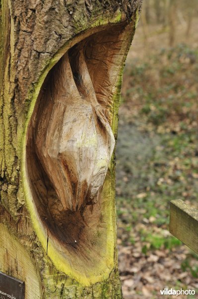 Vleermuissculptuur in boom