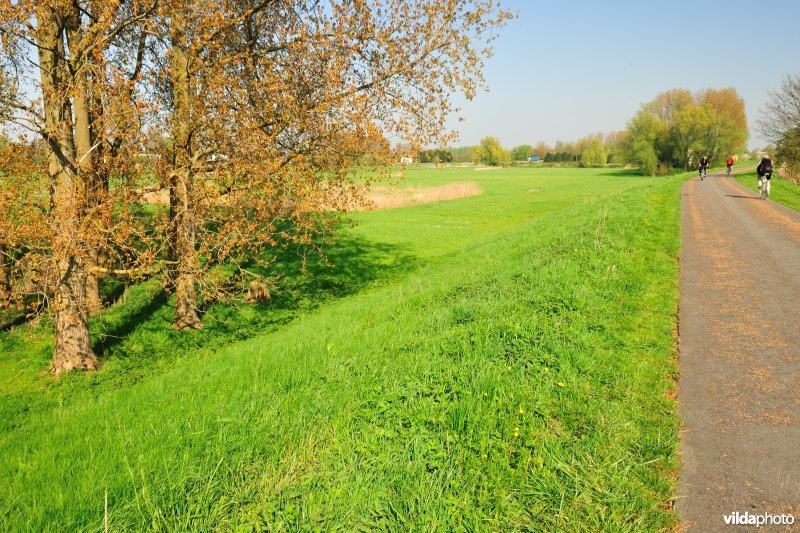 Scheldedijk aan het Paardebroek