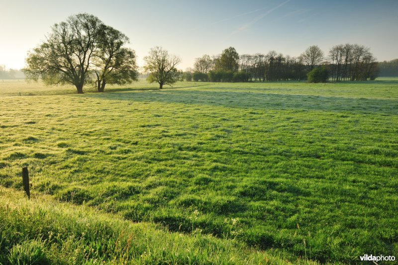 Dijlevallei: Hollaken - Hoogdonk Deel 2