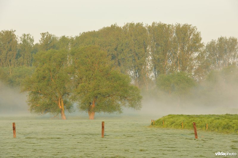 Dijlevallei: Hollaken - Hoogdonk Deel 2