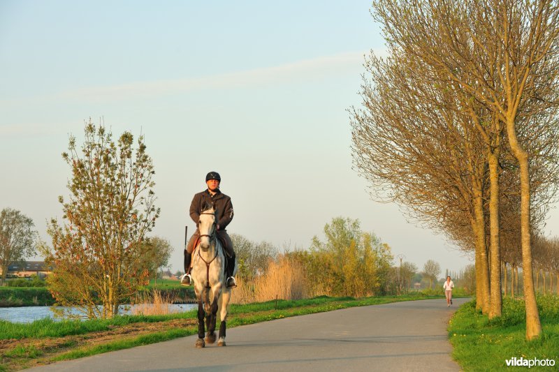 Ruiter langs de Leie