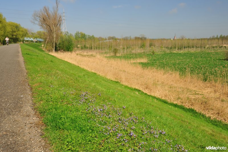 Grote Vijver deel 1 in het Zennegat