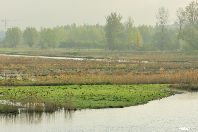 KBR polder