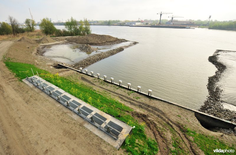 Waterwerken in de KBR-polder