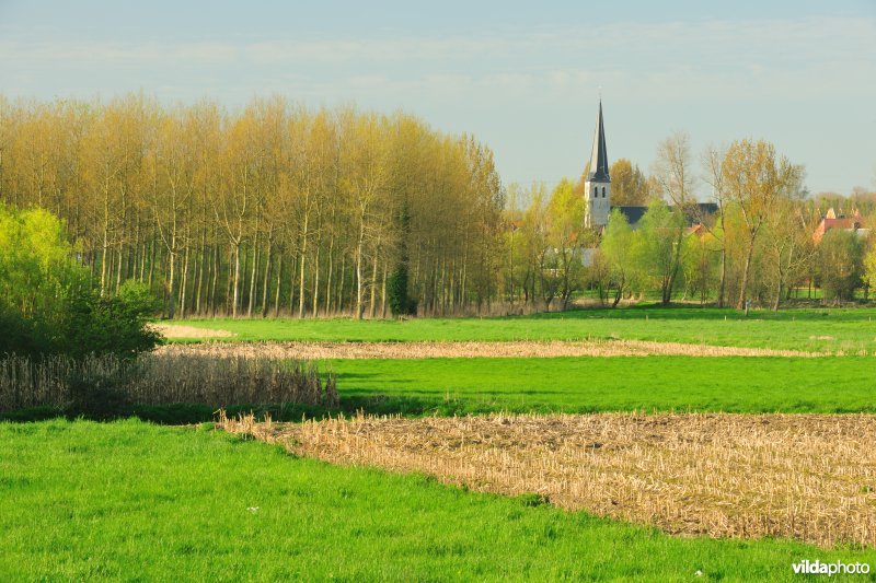 Groot Broek