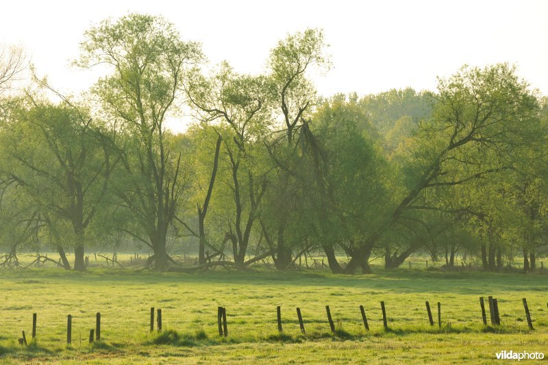 Vallei van de Grote Nete