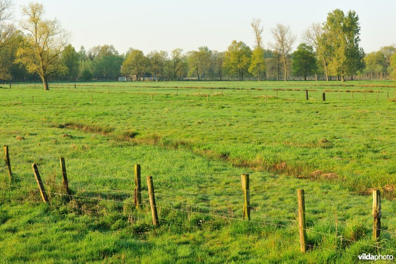 Vallei van de Grote Nete