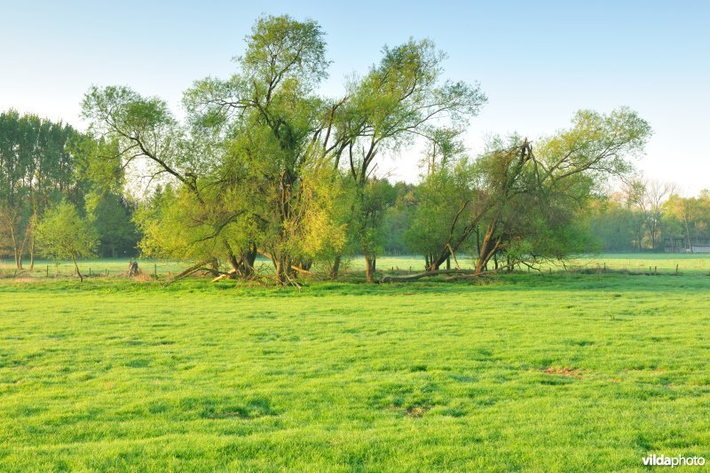 Vallei van de Grote Nete