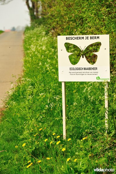 Berm aan Bassegembos