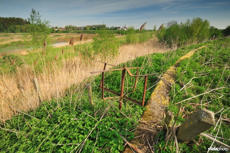 Schiphoekpolder