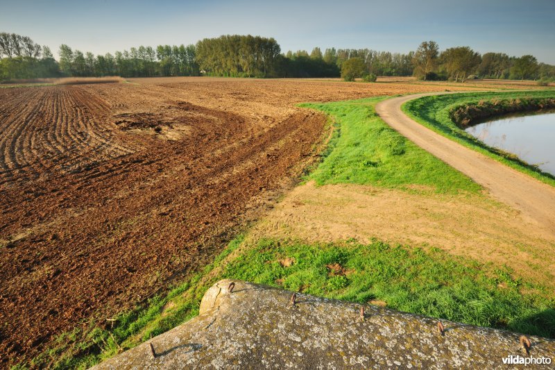 Dijlevallei: Pikhaken