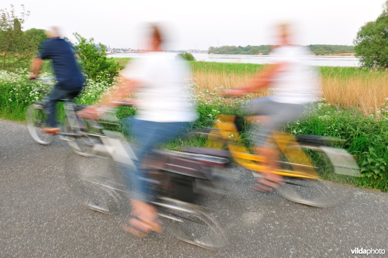 Scheldedijk aan het Kijkverdriet