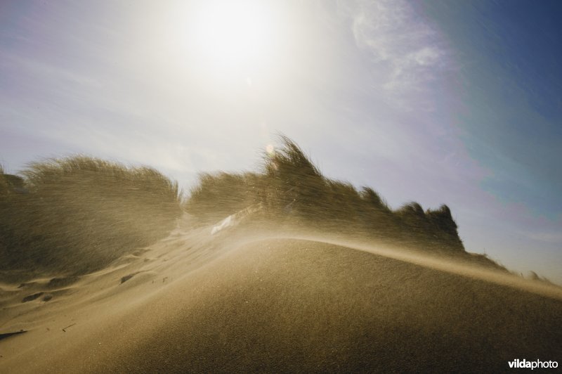 Stuivend zand in de duinen