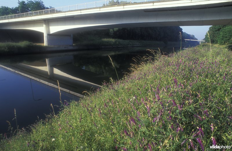 Wegberm aan de willemsvaart