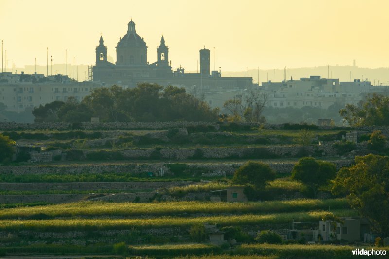 Stad met kathedraal op Malta, in de voorgrond talrijke jachthutten