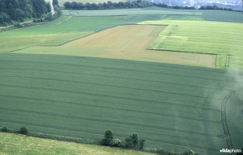 Luchtfoto van de Sintpietersberg