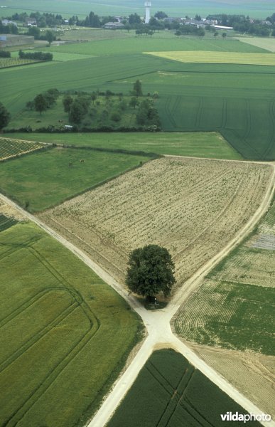 Luchtfoto van de Sintpietersberg