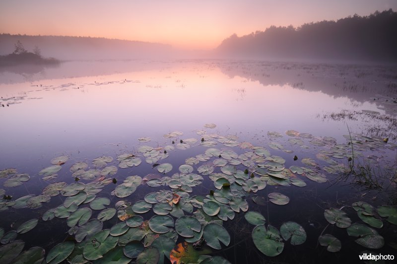 Natuurreservaat De Teut