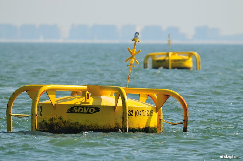 Mosselkweekboeien in de Noordzee