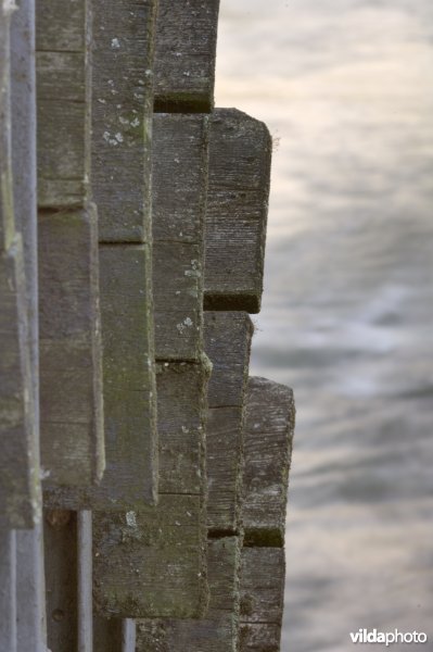 Watermolen op de Jeker