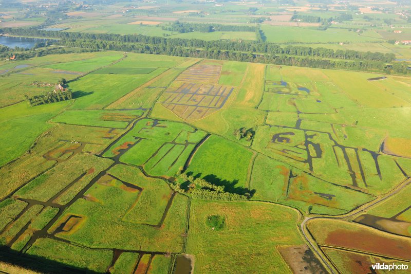 Dudzeelse polder