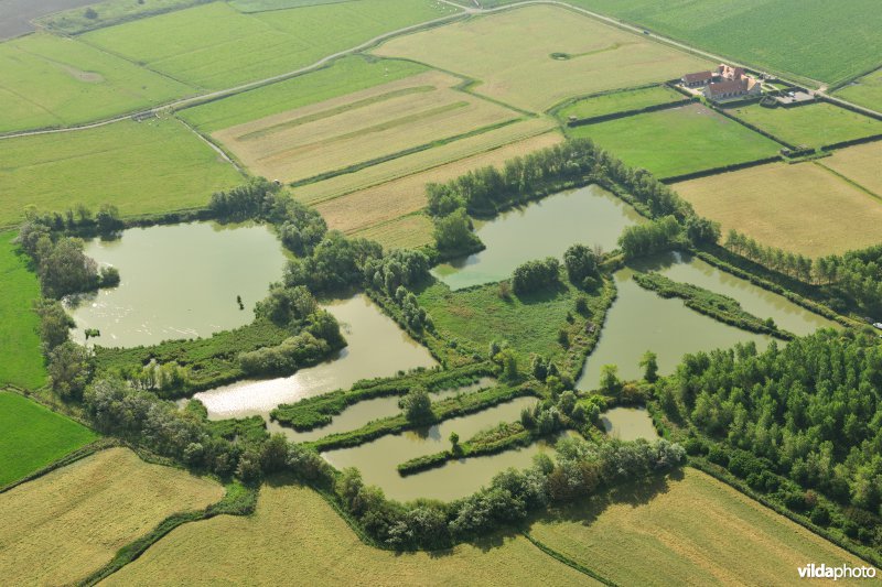 Visputten in Wenduine