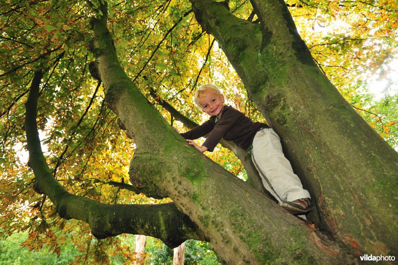 Speeltuin aan de Sint-Pietersburcht