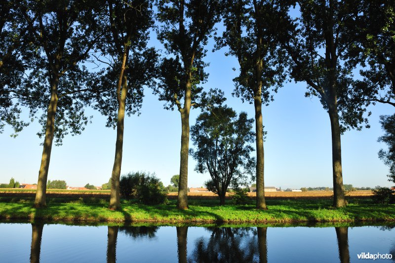 Spierekanaal