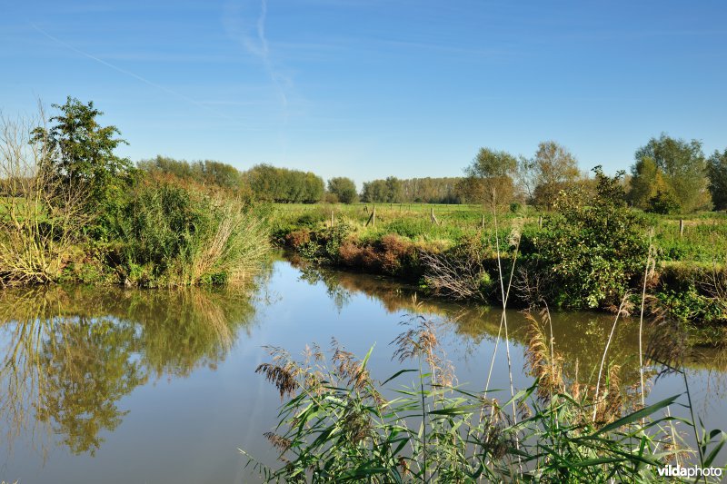 Kalkense meersen