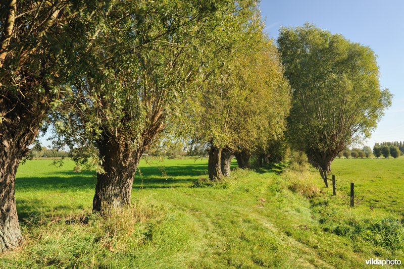 Veemeersen