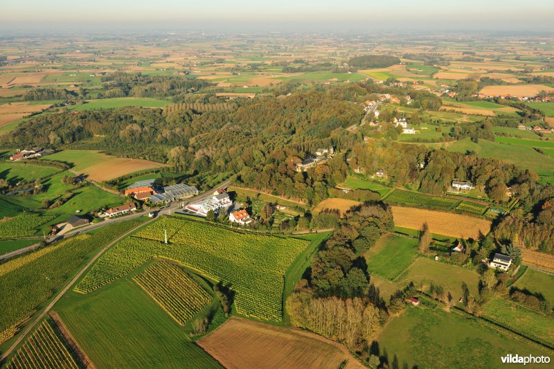 Rodeberg