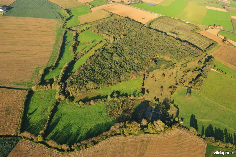 Natuurreservaat Het Eeuwenhout
