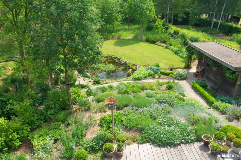 Natuurvriendelijke tuin