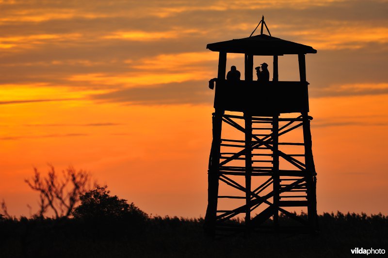 Uitkijktoren met vogelkijkers