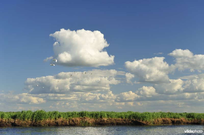 Vallei van de Biebrza