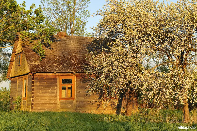 Huis in de vallei van de Biebrza