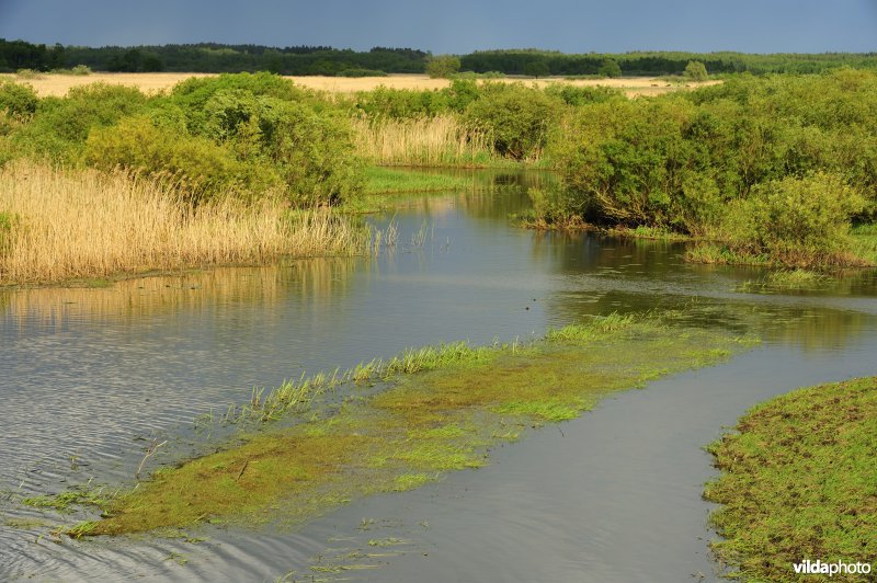 Vallei van de Biebrza