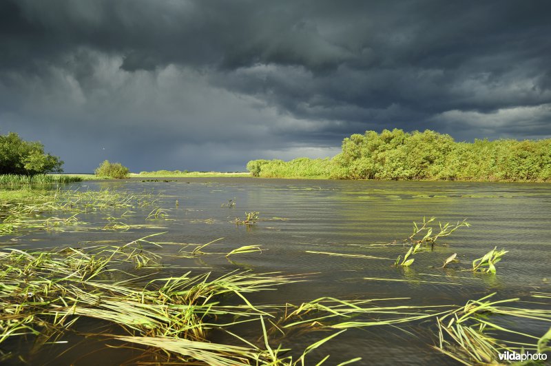 Vallei van de Biebrza