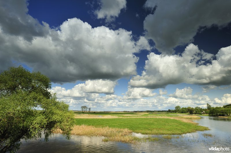 Vallei van de Biebrza