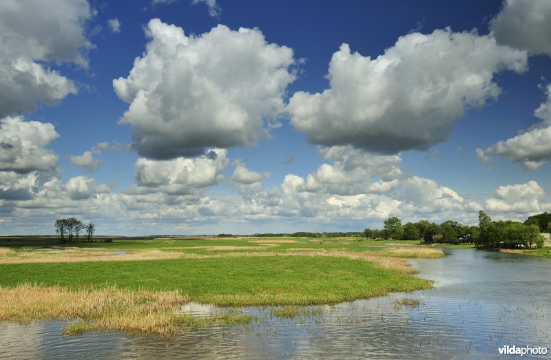 Vallei van de Biebrza