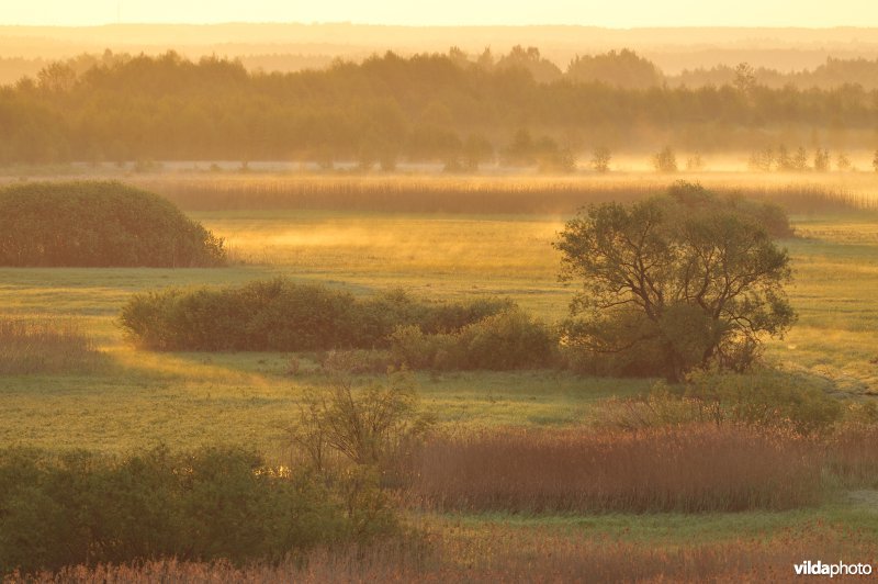 Vallei van de Biebrza