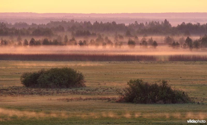 Vallei van de Biebrza