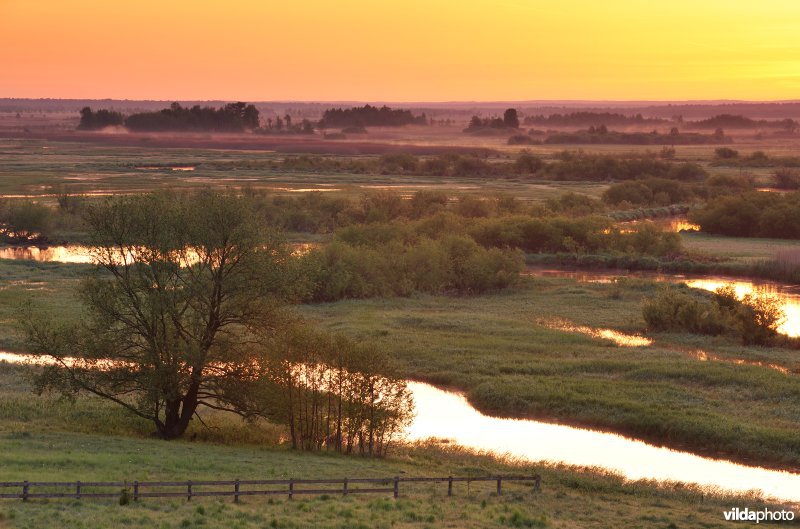 Vallei van de Biebrza