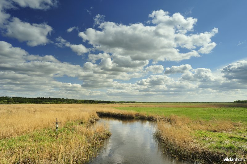 Vallei van de Biebrza