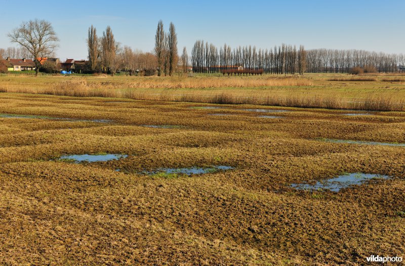 Ontveningen in de Rillebroeken